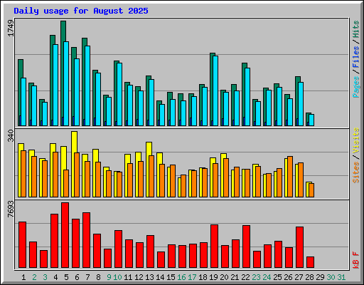Daily usage for August 2025