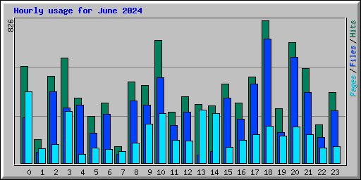 Hourly usage for June 2024