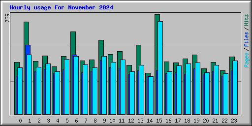 Hourly usage for November 2024