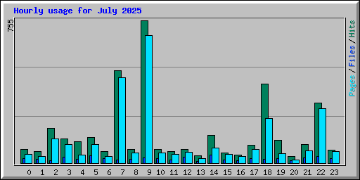 Hourly usage for July 2025