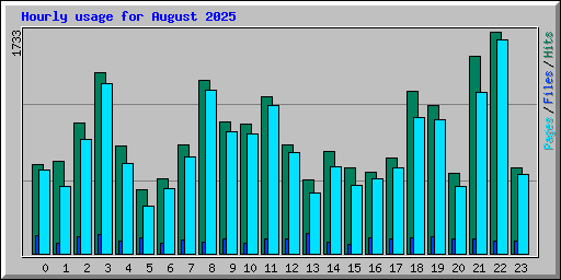 Hourly usage for August 2025
