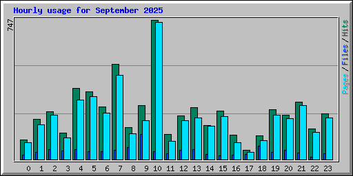 Hourly usage for September 2025