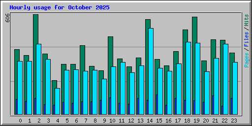 Hourly usage for October 2025