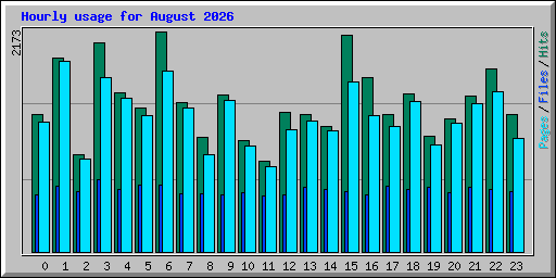 Hourly usage for August 2026