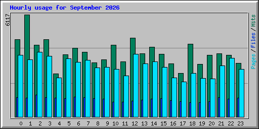 Hourly usage for September 2026