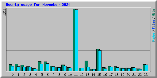 Hourly usage for November 2024