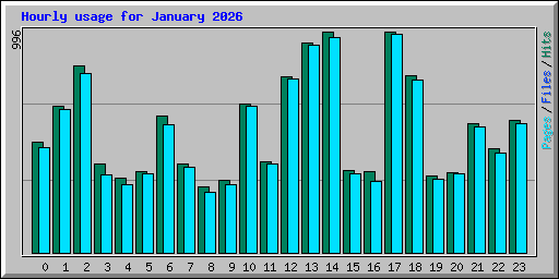 Hourly usage for January 2026