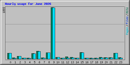 Hourly usage for June 2026